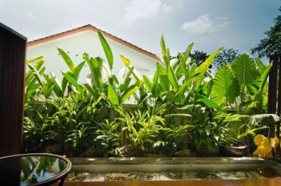 Mydream Guest House Ipoh Exteriér fotografie